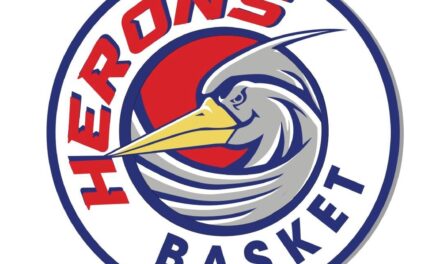 Herons Basket Montecatini, risolto il contratto di Federico Casoni