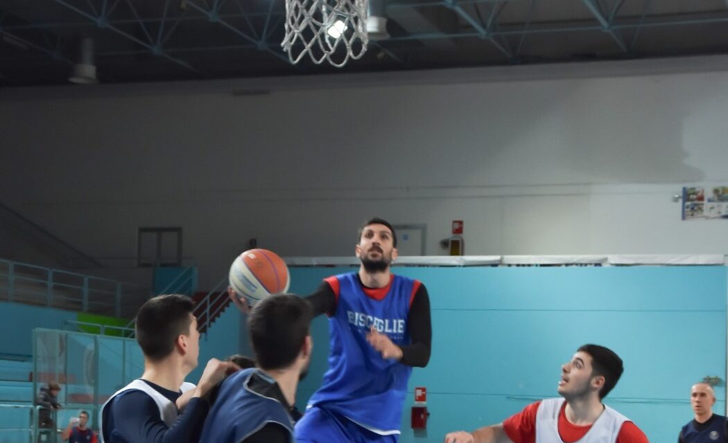 Lions Bisceglie, stop forzato  in attesa di notizie