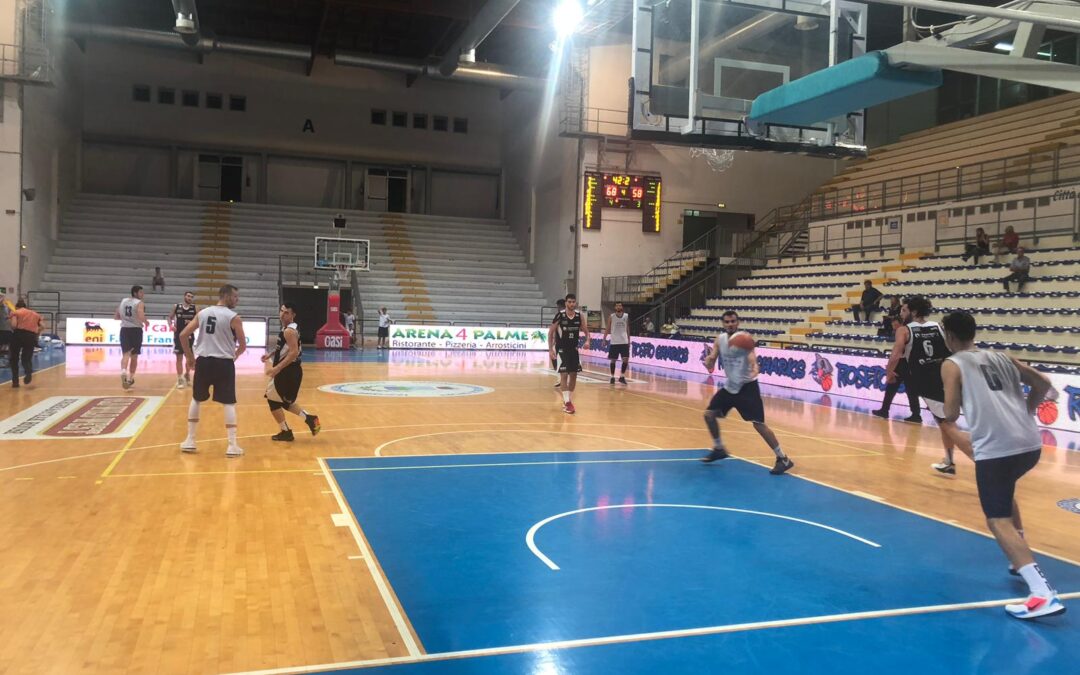 Trofeo Lido delle Rose, i Lions Bisceglie cedono a Latina senza sfigurare