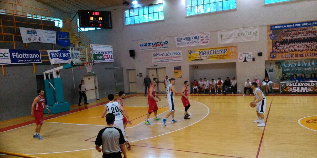 Matelica, il punto della situazione in vista del match contro Foligno